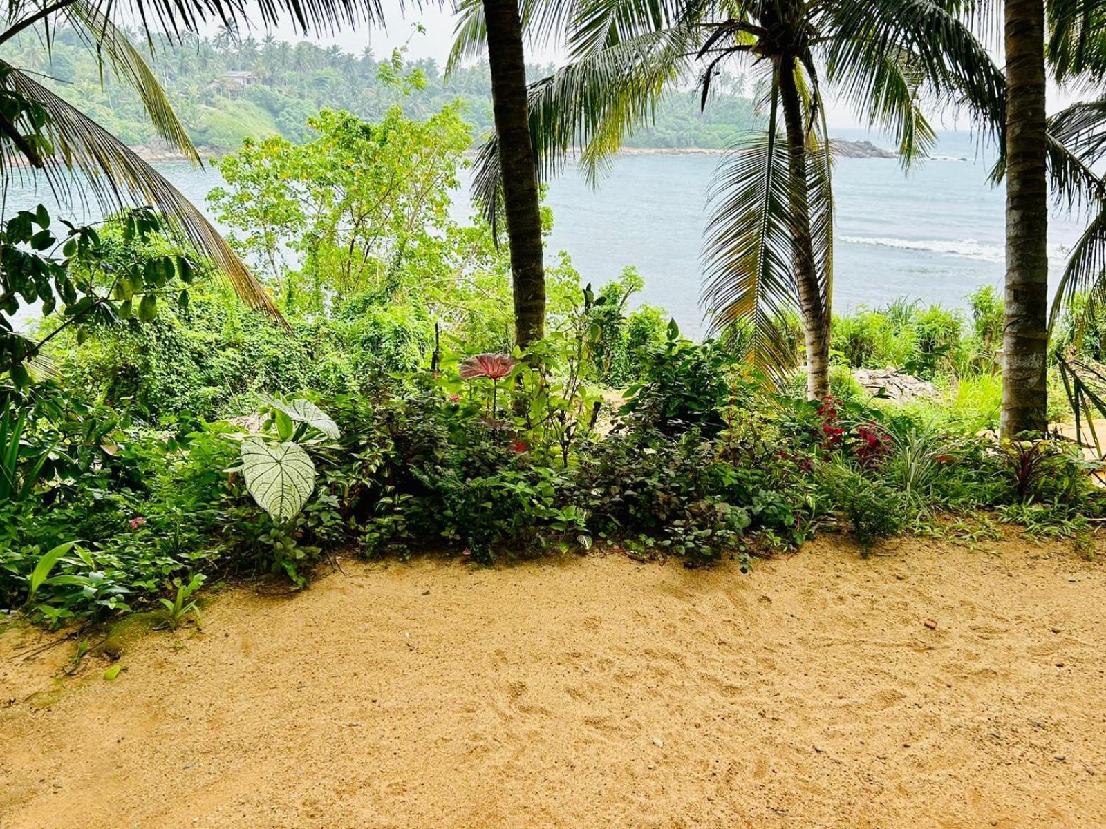 Surf Paradise Tangalle Exterior photo