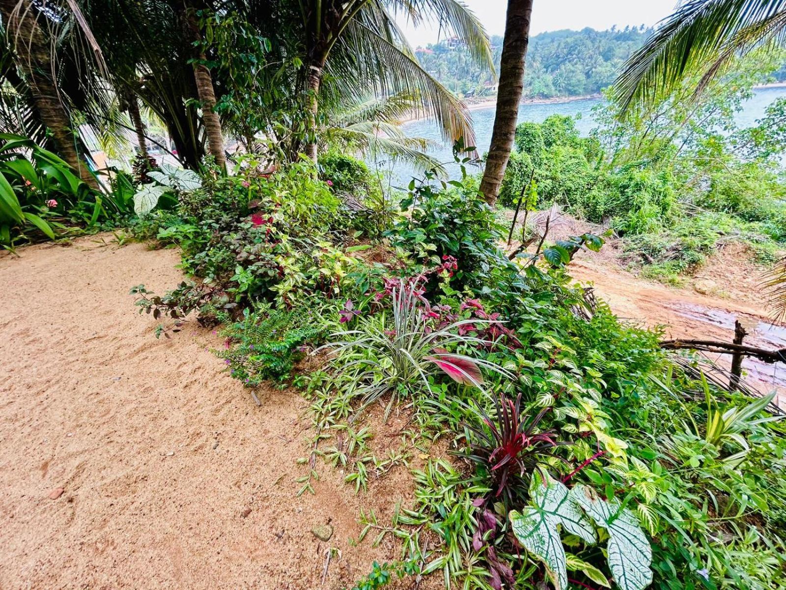 Surf Paradise Tangalle Exterior photo