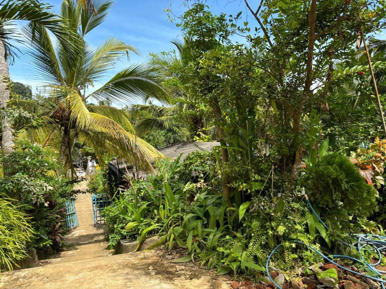 Surf Paradise Tangalle Exterior photo